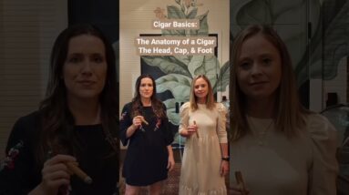 Cigar Basics: The Anatomy of a Cigar- The Head, The Cap, and The Foot #shorts