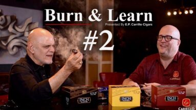 Burn & Learn Series 2 - What's the buzz about big cigars?
